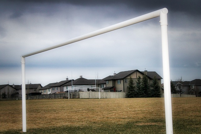 更凸显了一 更凸显了一