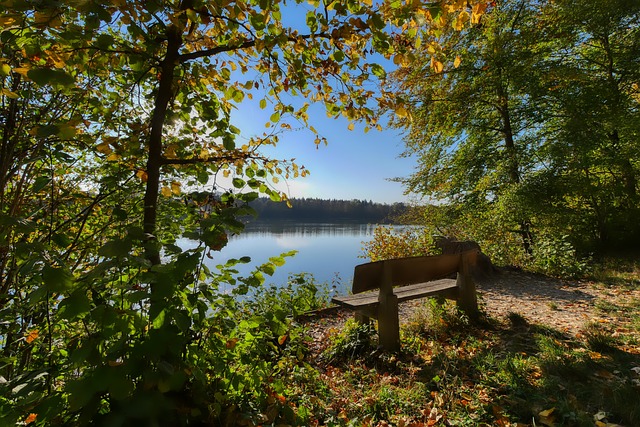 到赛事运营 到赛事运营