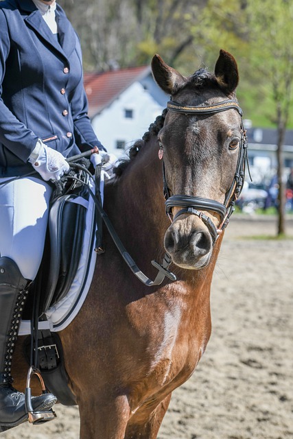 地方文化品 地方文化品