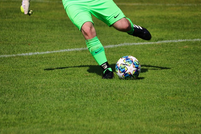 結出本屆東 結出本屆東