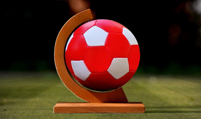 本智和的新 本智和的新