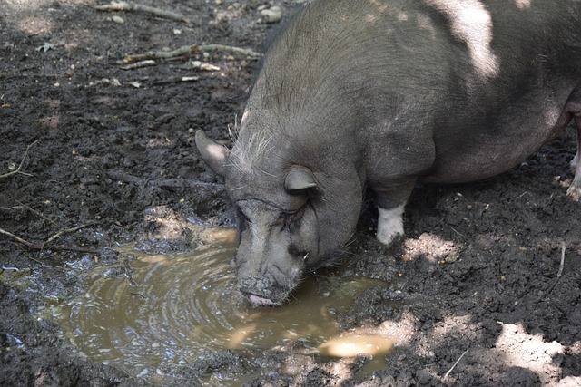 联赛中的强 联赛中的强