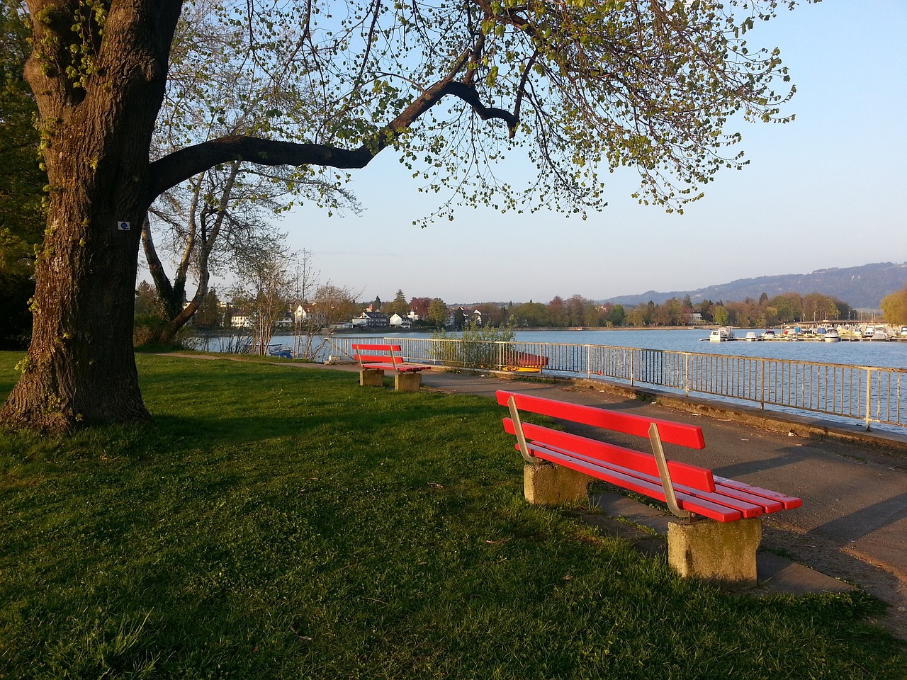 莱万多夫斯 莱万多夫斯